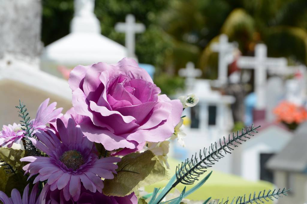 fiori cimitero 